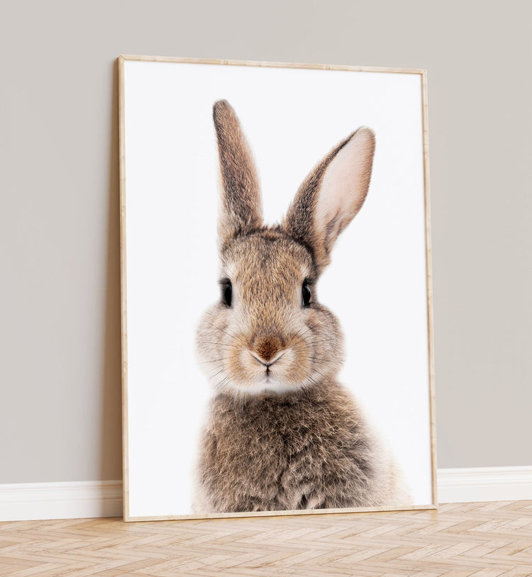 Nursery Bunny Print