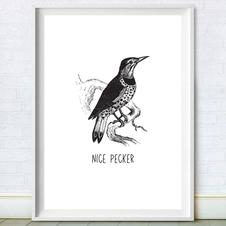 nice pecker print