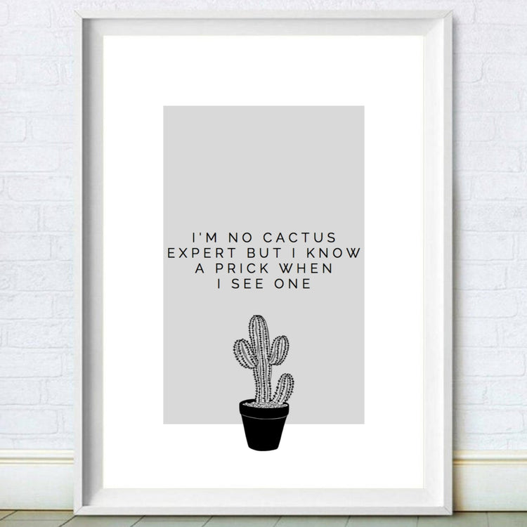 I'm No Cactus Expert Funny Home Décor