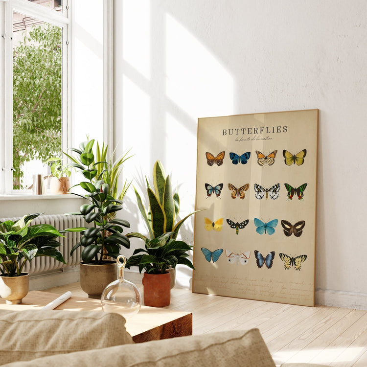 Butterflies Set of 2 Bedroom Wall Art