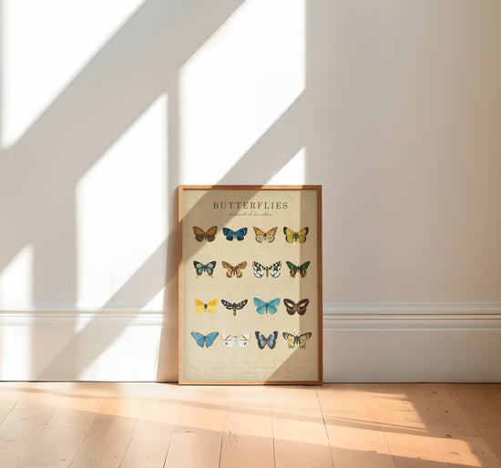 Butterflies Vintage Print