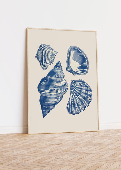 Sea Shells Print