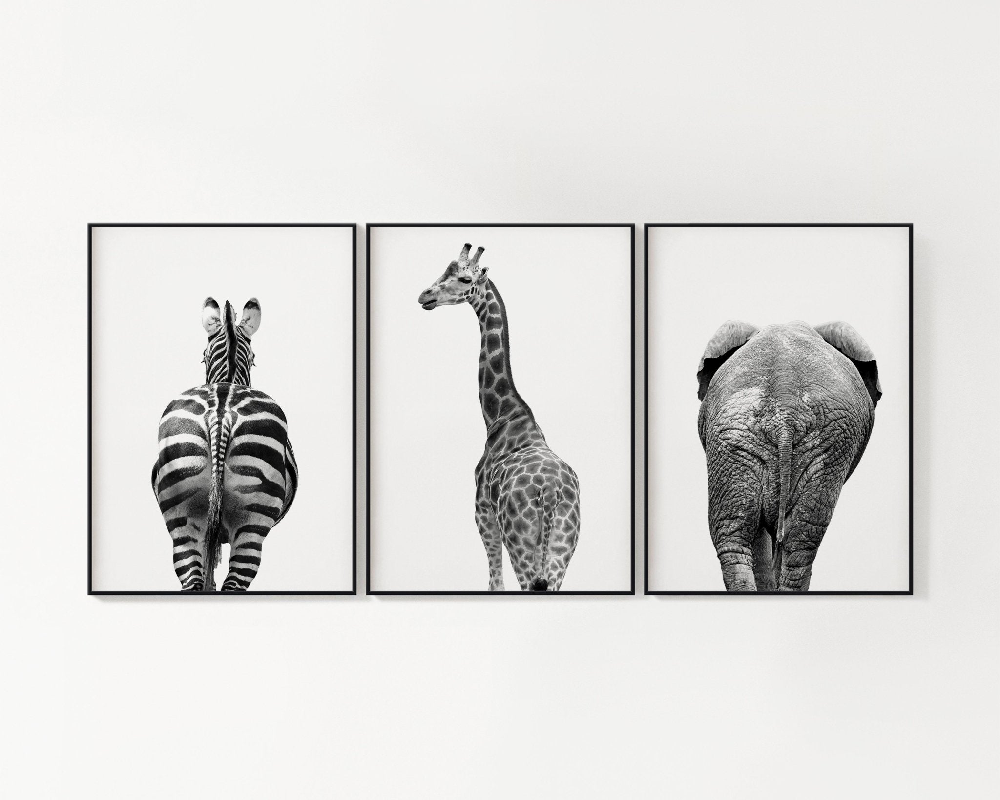 Animal Bums- Set of Three Prints