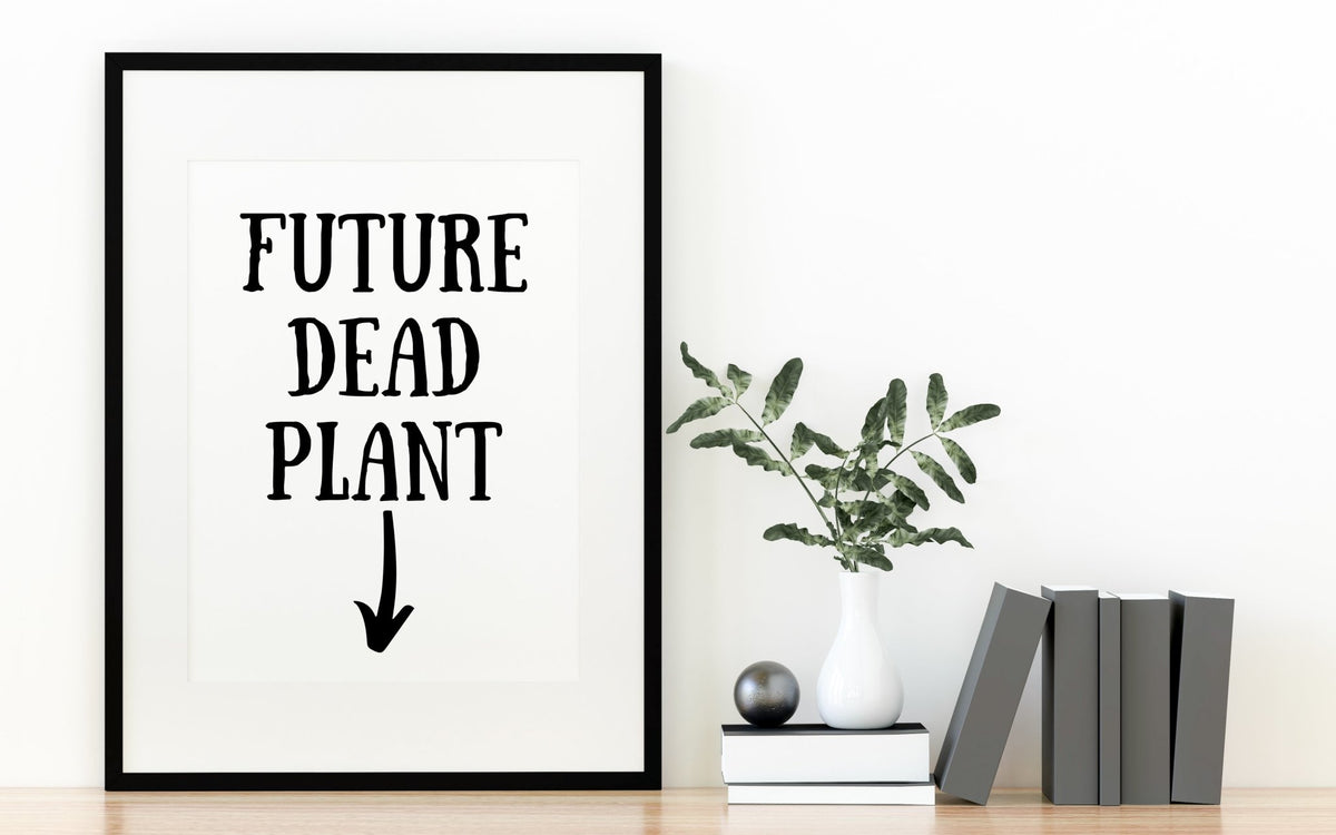 Future Dead Plant Print