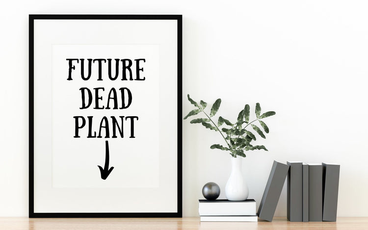 Future Dead Plant Print