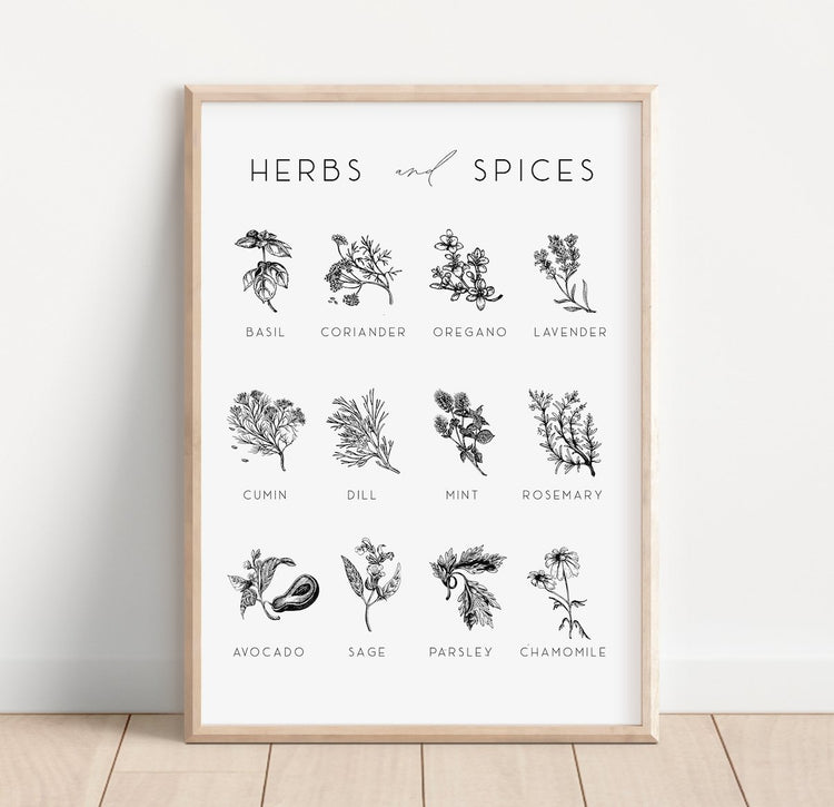 Herbs & Spices Poster