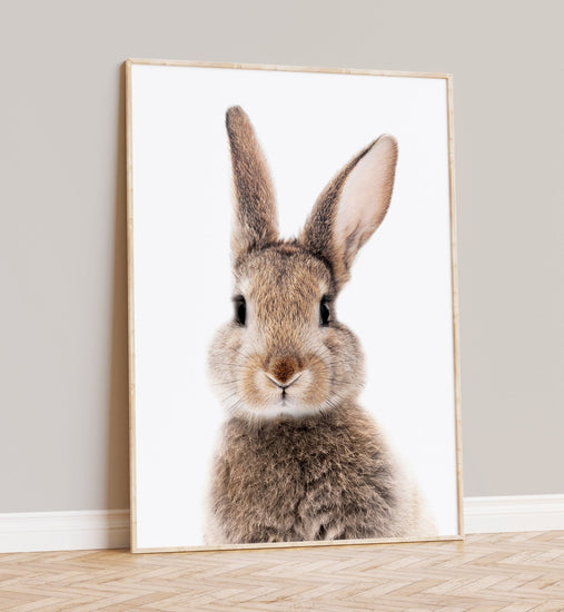 Nursery Bunny Portrait Print