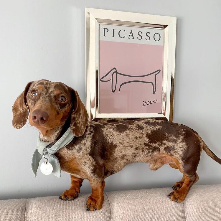 picasso dog print