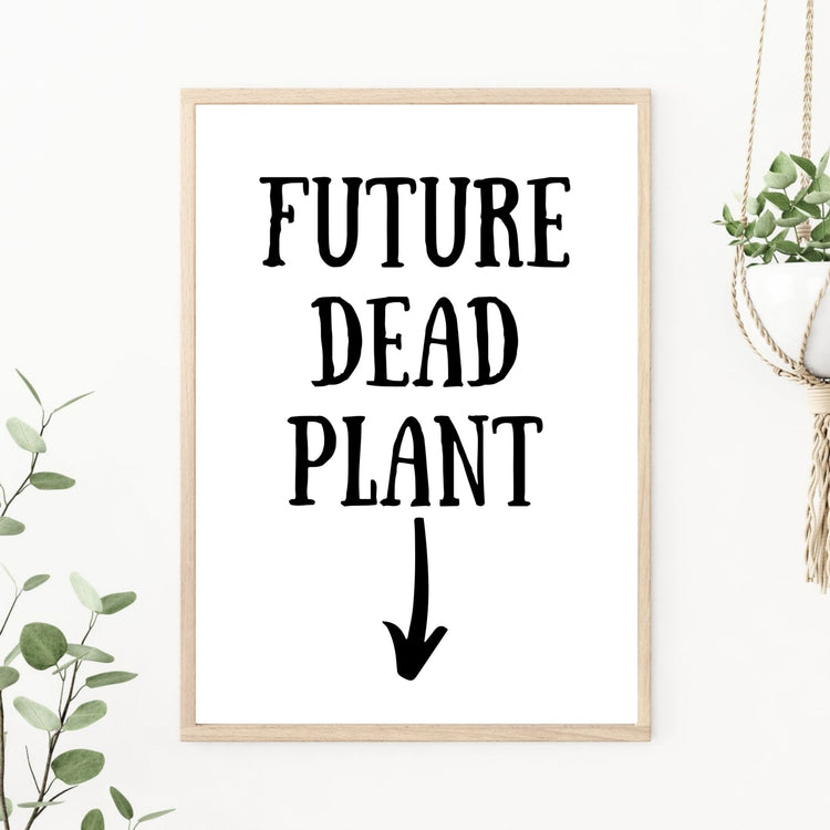 Future Dead Plant Print