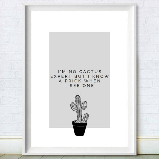 I'm No Cactus Expert Funny Home Décor